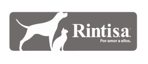 Rintisa